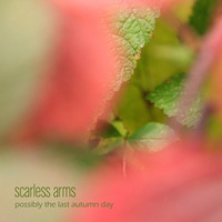 Possibly The Last Autumn Day (Ambient / Score / Piano / Funny) by scarless arms