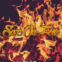 Sex On Fire - Kings Of Leon Instrumental Cover by Craig.O