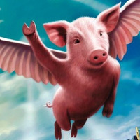 Flying Pigs (Raisi Open Loop) [Free DL} by Gmakin16