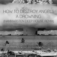 How To Destroy Angels - A Drowning (Hammarsten Deep House Remix) by HAMMARSTEN