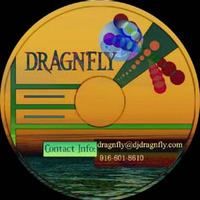 Dragnfly-Identify by Dusteye