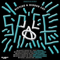 RipTide & Hidden Cat - Space (Savile Remix) by Gianpaolo Dieli