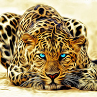 Leopard - [PREVIEW] by OOOD