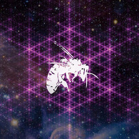 Bombyll - Bombus Radio March 30, 2017 by Greasy Monk