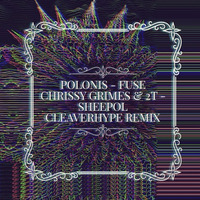 Polonis - Fuse x 2T & Chrissy Grimez - Sheepol (Cleaverhype Remix) by Cleaverhype