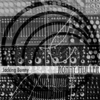 Ronny Muller - Jacking Bunny // To Love House by Mude Recordings