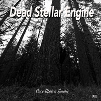 Once Upon A Lunatic by Dead Stellar Engine