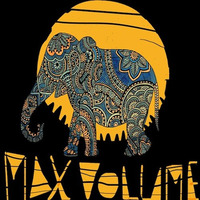 Relevant  Elephant by MaxVolume