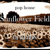 Sunflower Field by Dolphin
