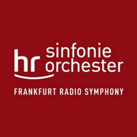 O. K. - Mückenschwarm (live with the HR - Sinfonieorchester) by Dennis Hultsch 1