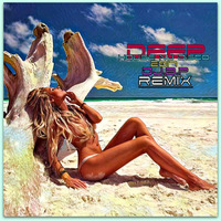 Deep House Nu Disco Remix 2017 B.P by Bobby Petrov