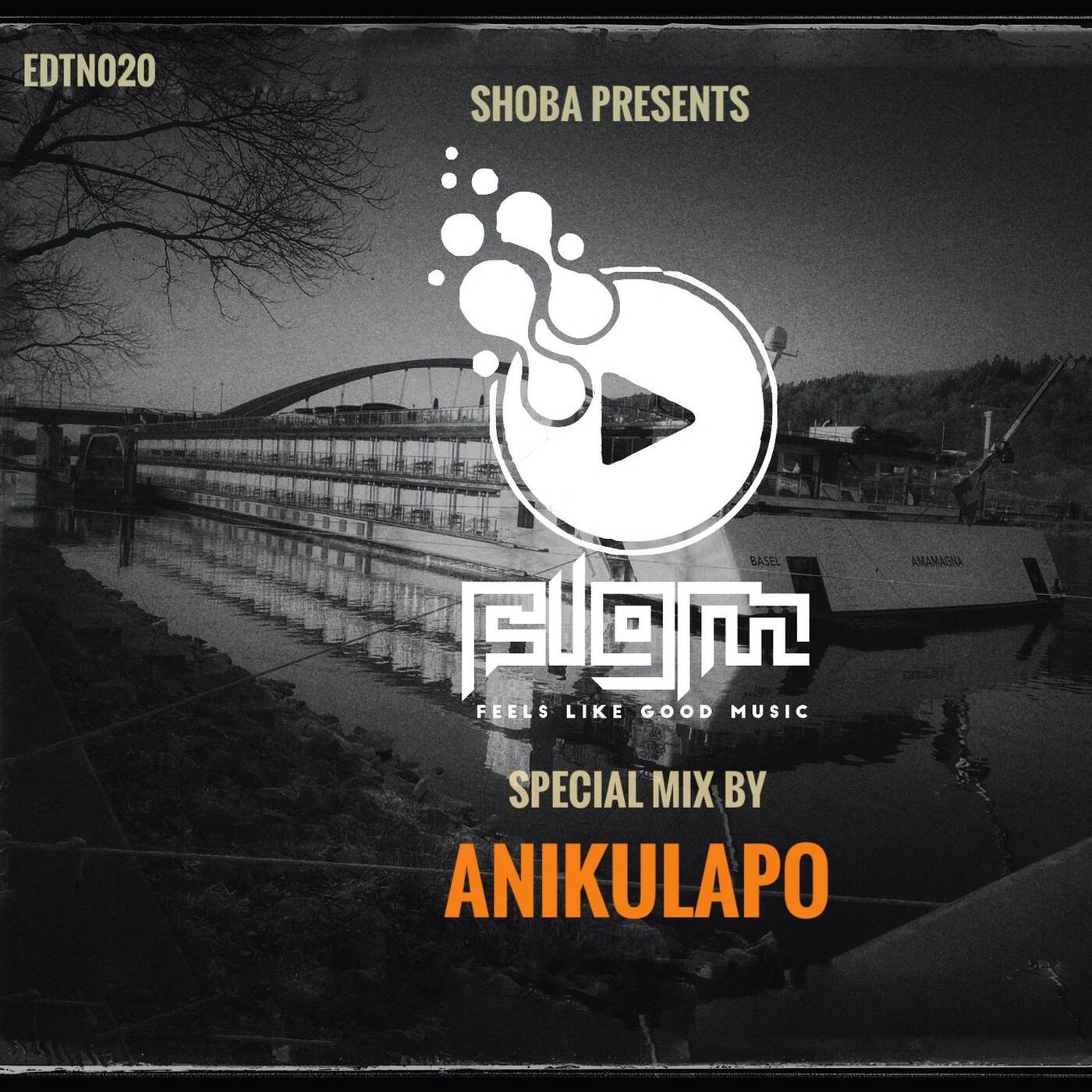 Feelslikegoodmusic EDTN 020 Special mix by ANIKULAPO