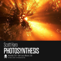 Photosynthesis by Scott Haro (Mac)