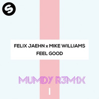 FELIX JAEHN X MIKE WILLIAMS - FEEL GOOD 2017 ( Mumdy Remix ) 135 Bpm by Mumdy