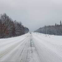 The Road by Sergey Startsev