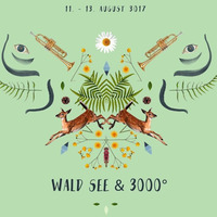 Schaule @ 3000 Grad Festival 2017 -SCHRANK- by Schaule Casino (official)