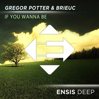 Gregor Potter &amp; Brieuc - If You Wanna Be (OUT NOW) by BRIEUC