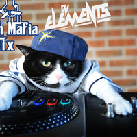 DUTCH MAFIA MIX VOL 14 by DJ ELEMENTS