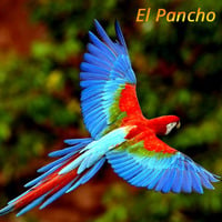 El Pancho AMK vs TTC by D'jOZe
