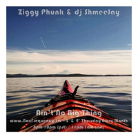 Ziggy Phunk &amp; dj ShmeeJay - Ain't No Big Thing - 2017-07-13 by dj ShmeeJay