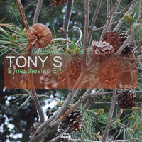 Tony S - 'Synesthesiac' EP [Deep Clicks]
