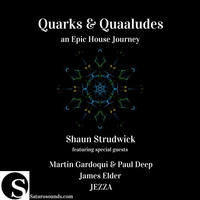 Quarks & Quaaludes- James Elder Guest Mix- September 2016 by Saturo Sounds