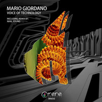 IRN050 : Mario Giordano - Voice of Technology
