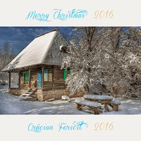 Merry Christmas 2016 by Gabriel Sandu