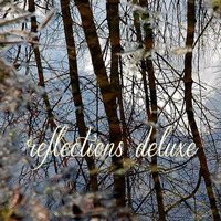 Reflections Deluxe by Gabriel Sandu