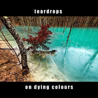 Teardrops On Dying Colours by Gabriel Sandu