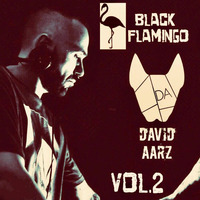 David Aarz presents Black Flamingo Vol.2 by David Aarz