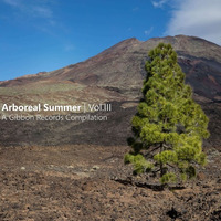 GIBLP008: Gibbon Arboreal Summer Vol.III Continuous DJ Mix 1 - Moonface by Gibbon Records