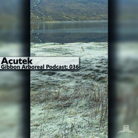 Gibbon Arboreal Podcast 036: Acutek by Gibbon Records