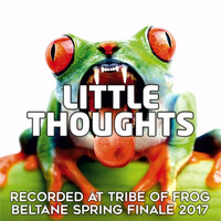 Little Thoughts - Recorded at Tribe of Frog Beltane Spring Finale 2017 by TRiBE of FRoG