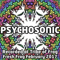 Psychosonic - Recorded at Tribe of Frog February 2017 by TRiBE of FRoG
