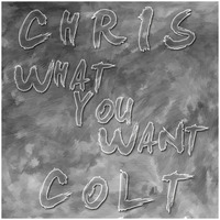 What You Want (Remix) by Chris Colt
