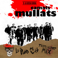 La Gossa Sorda - Camals Mullats (Lo Puto Cat Tropical Riot Mix) by Lo Puto Cat