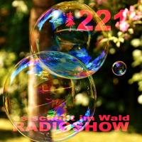 ESIW221 Radioshow Mixed by Cult Jam by Es schallt im Wald