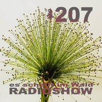 ESIW207 Radioshow Mixed by Benu by Es schallt im Wald