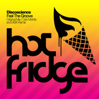 Discoscience - Feel The Groove (Dan McKie and ABX Remix) [HotFridge] by andyabx