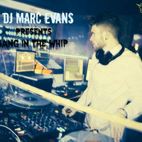 Bang In The Whip by Dj Evans