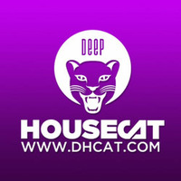 Deep House Cat Show - Unicorn Fart Mix - with Alex B. Groove by Deep House Cat Show