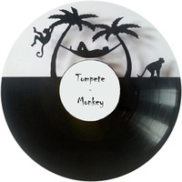 Tompete - Monkey by Tompete