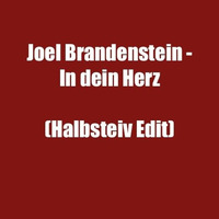Joel Brandenstein - In dein Herz (Halbsteiv Edit) by Halbsteiv