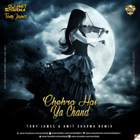 Chehra  Hai Ya Chand - Tony James &amp; Amit Sharma Remix by Amit Sharma