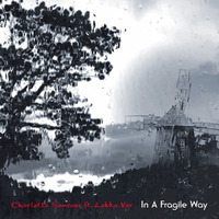 In A Fragile Way - Original Mix (ft. Lokka Vox) by Charlotte Someone