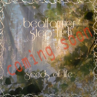 Beatfarmer & Step High - Second Life (preview) by beatfarmer