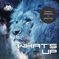 Dark Droid &amp; Daito - What's Up
