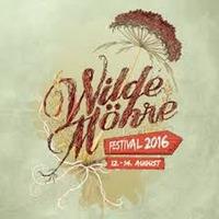 AantiGen @  Wilde Möhre Festival 2016 by AantiGen