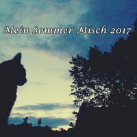 Mein Sommer Misch 2017 by maartens_sound